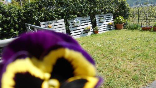 Apartment Viola - Foto 2, Garden