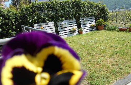 Apartment Viola - Foto 2