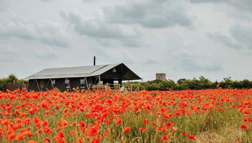 Finest Retreats - Foxley Lodge - Foto 4, Garden, Garden view