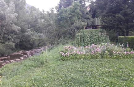 Apartamentos CAN GUSI - Foto 36