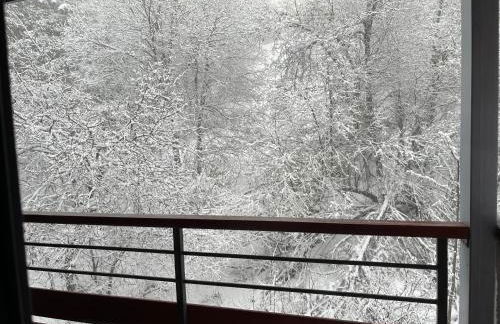 ARC 1800 Appartement 6-8 pers,5 cristaux, avec garage - Foto 18