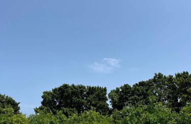 Chiusa Di Carlo Agriturismo - Foto 8