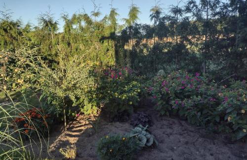 Słoneczny domek - Photo 17