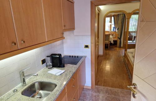 Residence Ciastel - Foto 42