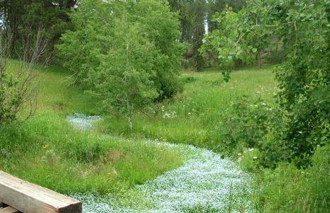 Gorgeous Private Cottage Rental in the Black Hills of South Dakota - Foto 15