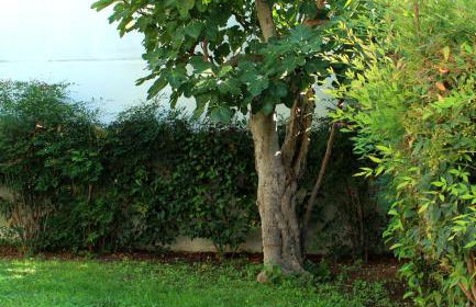 Urban Nest Suite - Foto 35