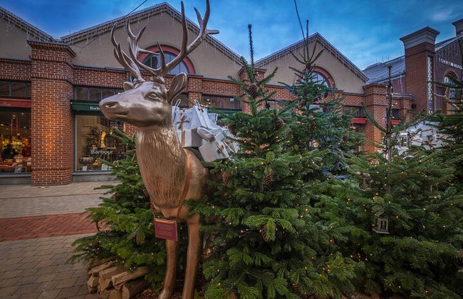 Tour privado de compras desde los hoteles de Múnich hasta el outlet de Ingolstadt - Foto 6