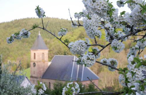 gite au coin du feu à 25mn de Colmar au calme avec jardin clos - Foto 24