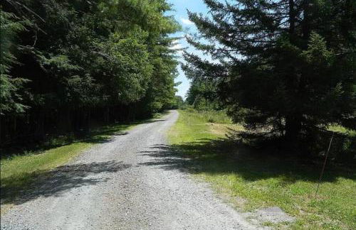 Southwoods Mountain Estate -private mansion, pool, hottub+ 15 acres - Foto 38