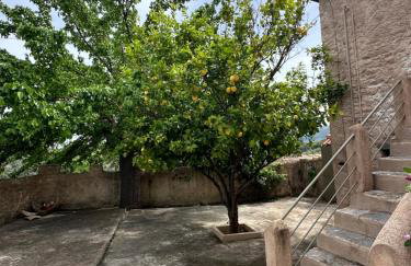 Πυργοσπιτο Χαντζακου - Foto 24