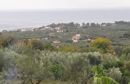 Estella sorelle 1 - Foto 39