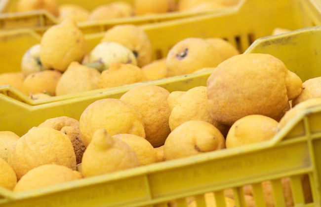 Agriturismo San Leonardello - Foto 76