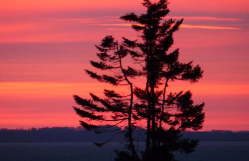 Loft Sierksdorf - Foto 15
