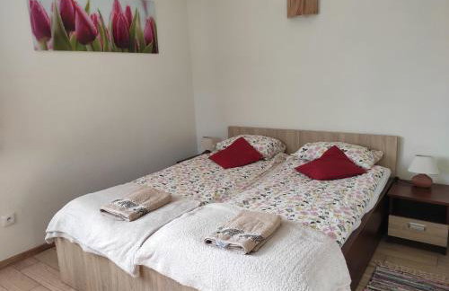 Tomaszówka - Domek na Kaszubach - Foto 28