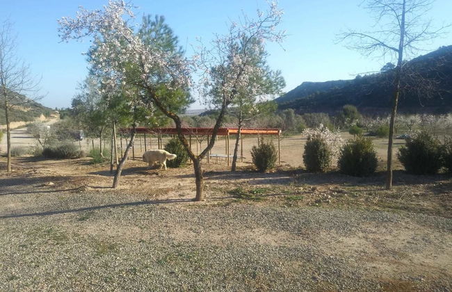 Espai Natural La Comanglora - Foto 45