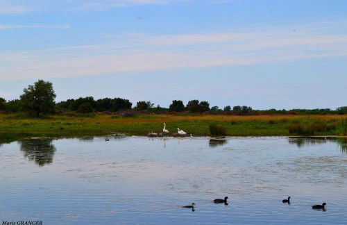 Gîte Les Vents du Large L'Aigrette - Foto 23