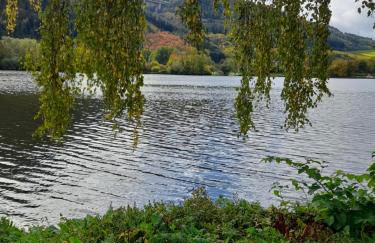 Ferienwohnungen am Moselbeach - Foto 15