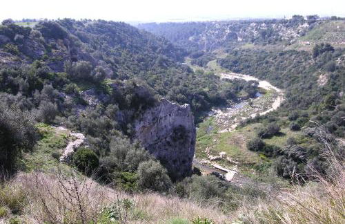 Masseria La Gravina - Foto 55