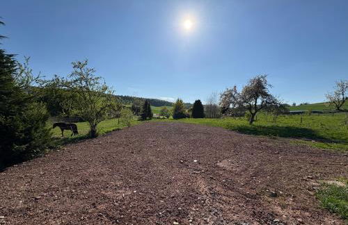 Ferienresort Weidelbach - Foto 29