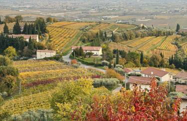 Casa vacanze Conca d Oro - Foto 59