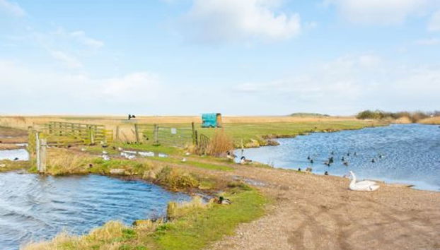 Host Stay Tystie Cottage - Foto 3, Habitación