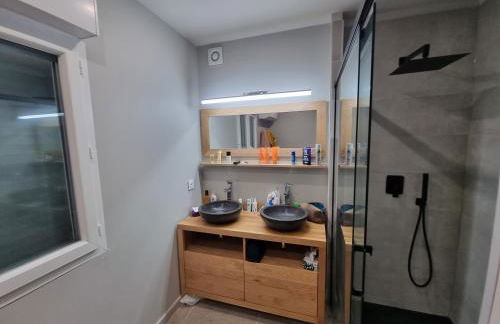 LA BASTIDE DE LUSON Villa 4 chambres Spa Sauna Piscine chaufée boulodrome - Foto 23