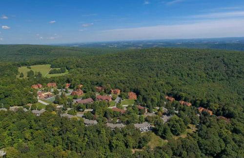 Swiss Mtn Condo 3 Mi to Seven Springs Resort - Foto 34