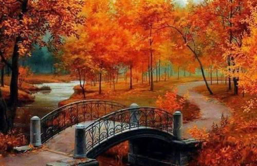 COMBI HOUSE - Foto 37