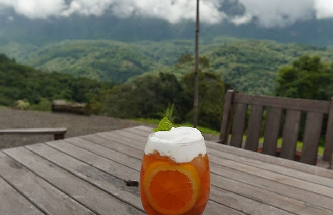 Pouso do Corvo - Grão-Pará - SC - Photo 69