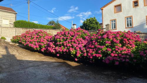 A Retorta - Foto 3, Garden