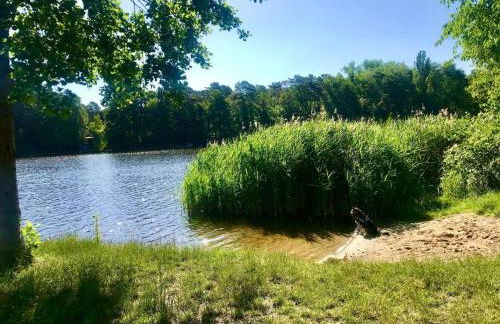 FEWO PARTNERS Haus Clemens - Gemütliches Holzhaus mit Grundstück nahe Badesee - Photo 37