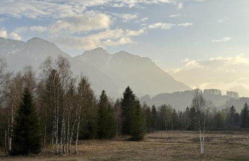 Ruheoase Inzell - Foto 14