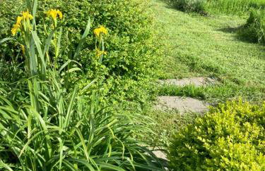Clos Phitarra, charmant gîte pour 2 personnes à 7 mns d'Etretat - Foto 29