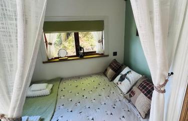 Romantic Shepherds Hut with Hot Tub in The Heart of Snowdonia - Foto 6