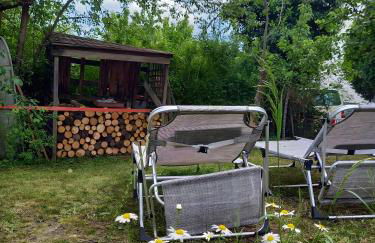 Freilandhof - Foto 26