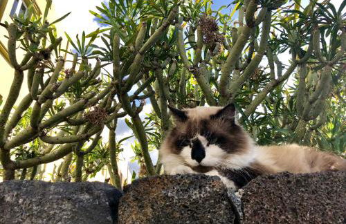 Apartamentos Los Verodes - Foto 96