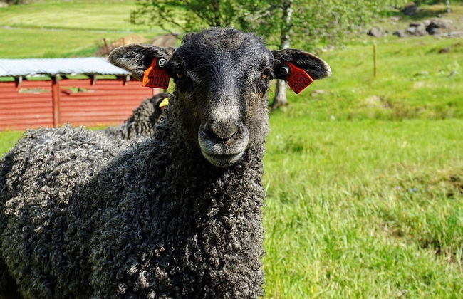 5 Person Holiday Home in Mellosa - Foto 21