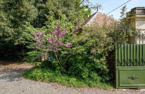 Maison 10 personnes 4 ch Bourgueil vignobles - Foto 34