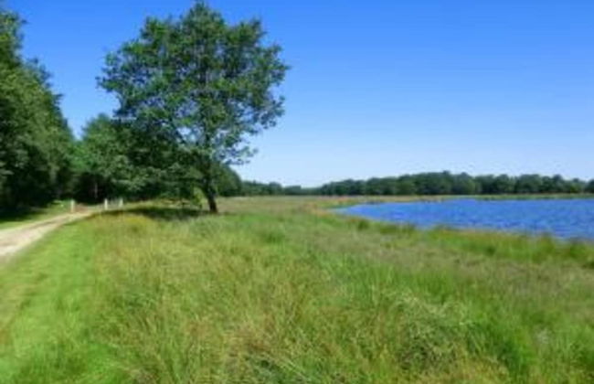 Holiday Home in Donkerbroek Near Forest Trails - Foto 38