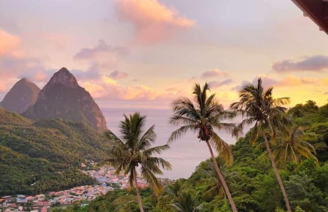 Samfi Gardens - Foto 33