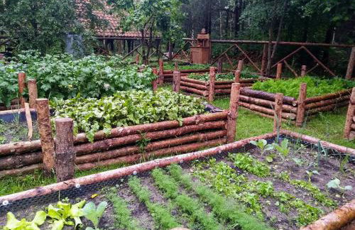 Leśna Polana - Foto 18