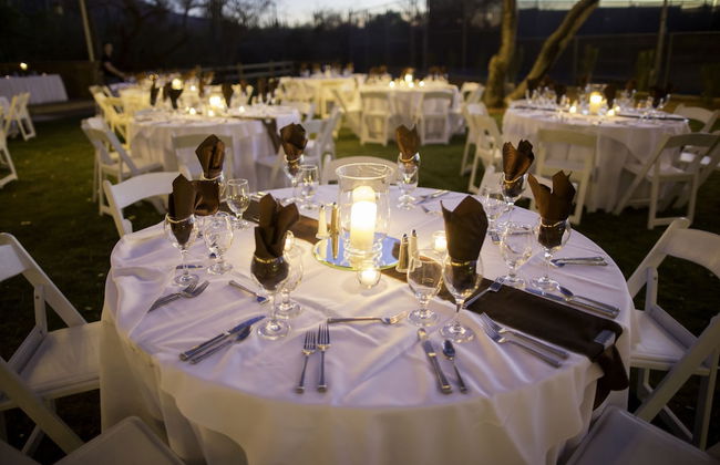 Tanque Verde Ranch - Photo 66