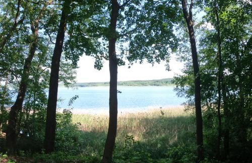Ferienwohnung Am See mit kleinem Boot und 3er Kajak und 2 SUP - Foto 80