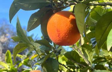 Villa Santa Margherita - Foto 126