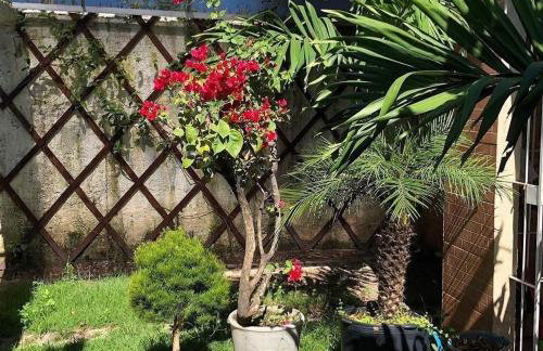 Olinda Home - Foto 8