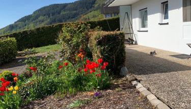 Fewo Moselblick - Foto 3