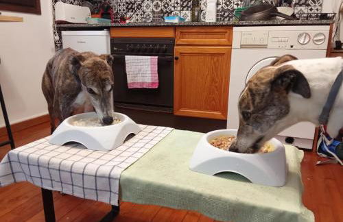 Estudio Las Perseidas - Vall de Boí - Foto 20