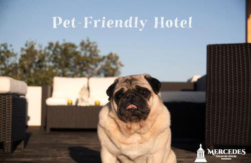 Mercedes Country House - Foto 22