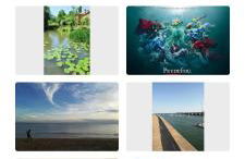 Cocon cosy et déconnecté 30min Puy du Fou - 2 chambres et 1 canapé lit - Foto 8