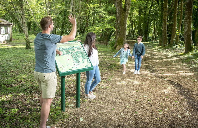 St Ives Holiday Village - Foto 18